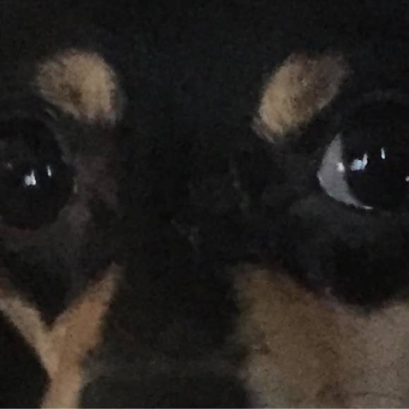 Meet your Posher, Jacqulin - Picture 1 of 1